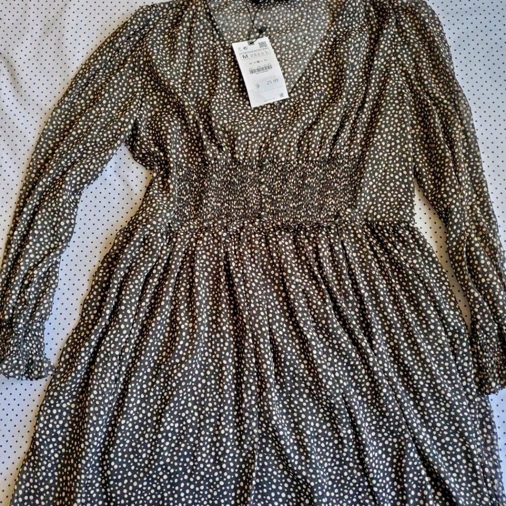 Zara dress